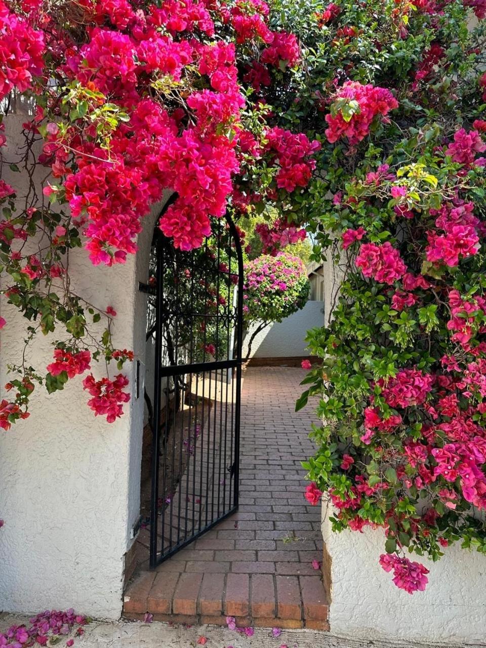 Bagley Terrace 136 Cottage Johannesburg Esterno foto