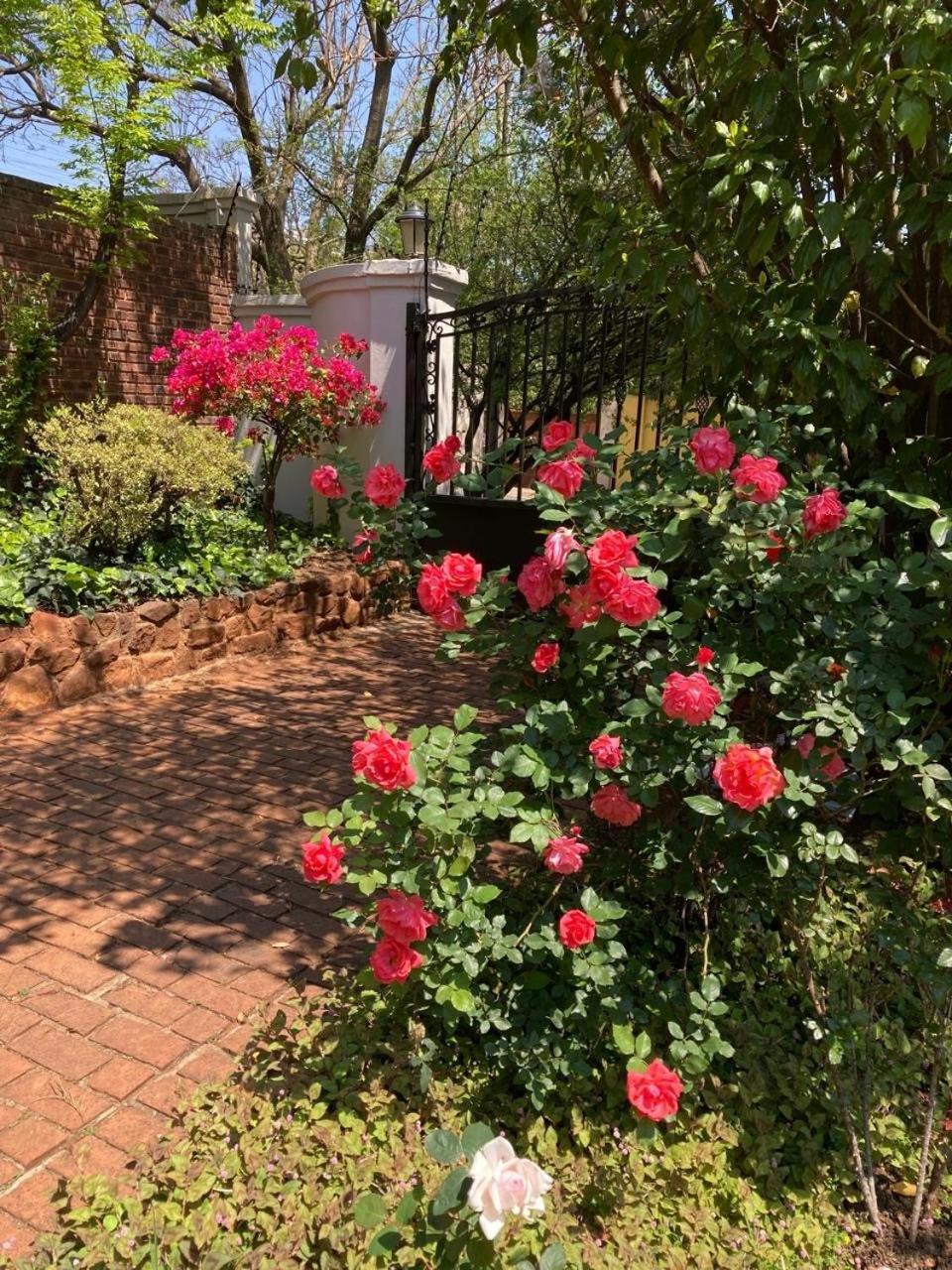 Bagley Terrace 136 Cottage Johannesburg Esterno foto
