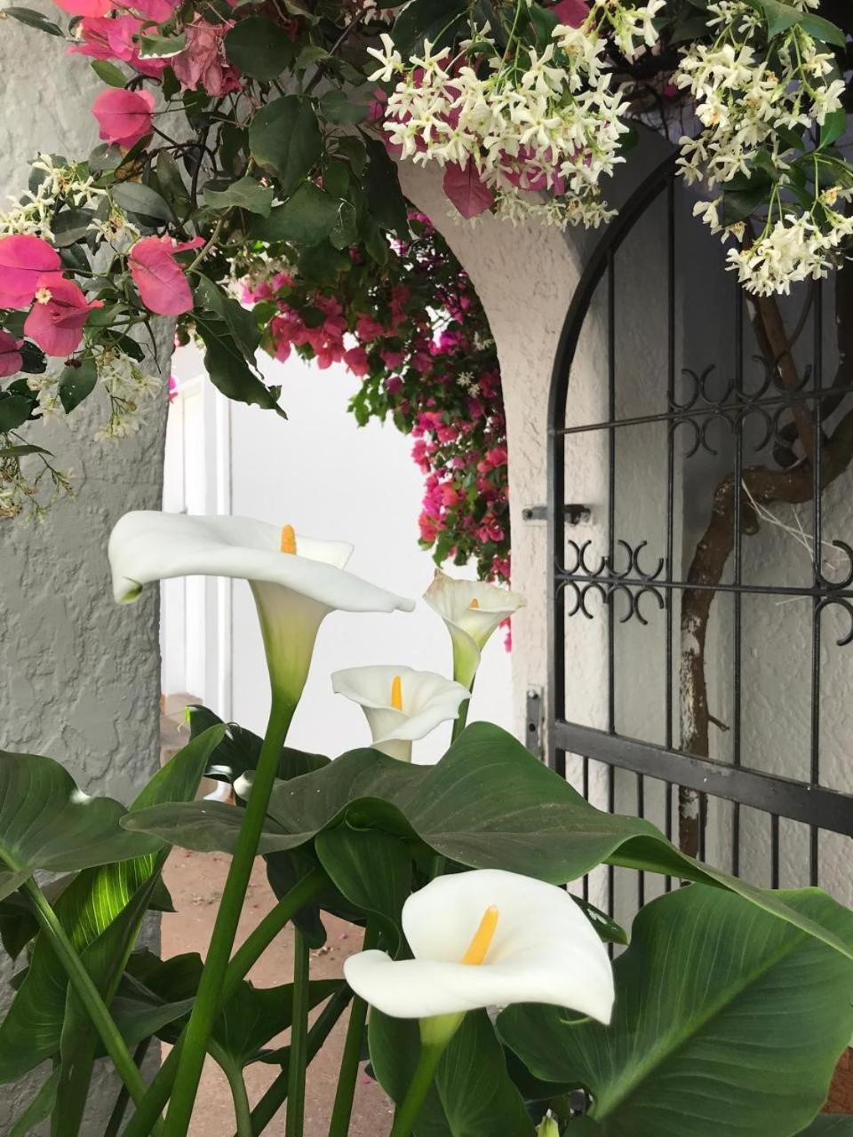 Bagley Terrace 136 Cottage Johannesburg Esterno foto