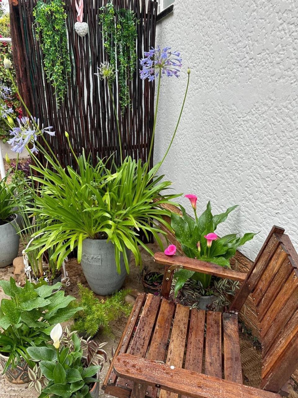 Bagley Terrace 136 Cottage Johannesburg Esterno foto
